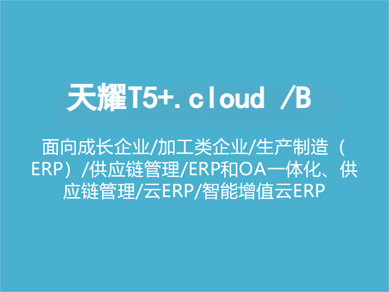 天耀T5+.cloud /B