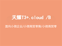 天耀T3+.cloud /B